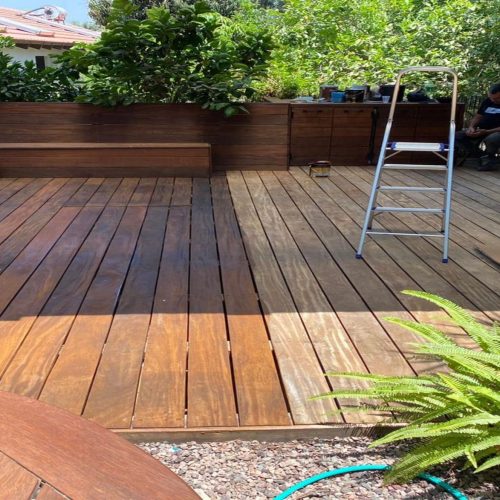 ניקוי_דק ניקוי_דק